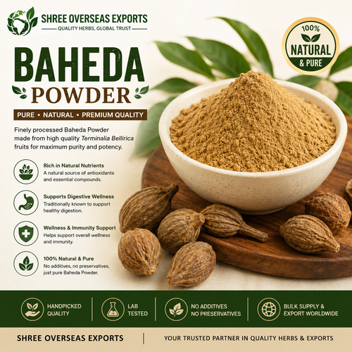 Terminalia Bellirica Powder Manufacturer – Reliable Bulk Supply for Global Herbal Businesses.png