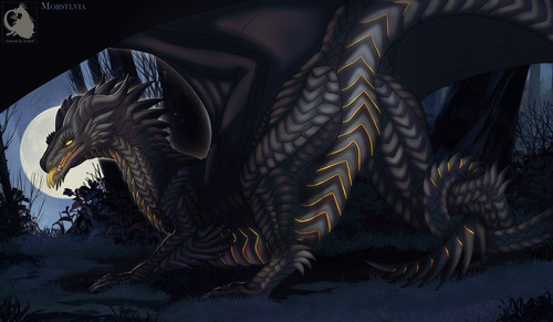 7u8WZAcACDA.jpg