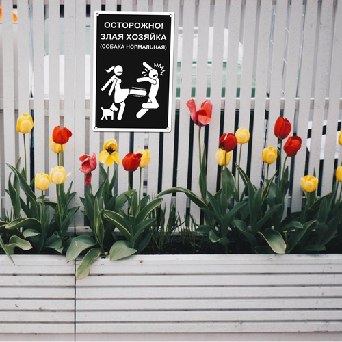 22 LP 0628 05.png