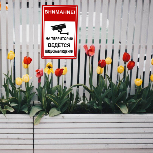 22 LP 0628 03.png