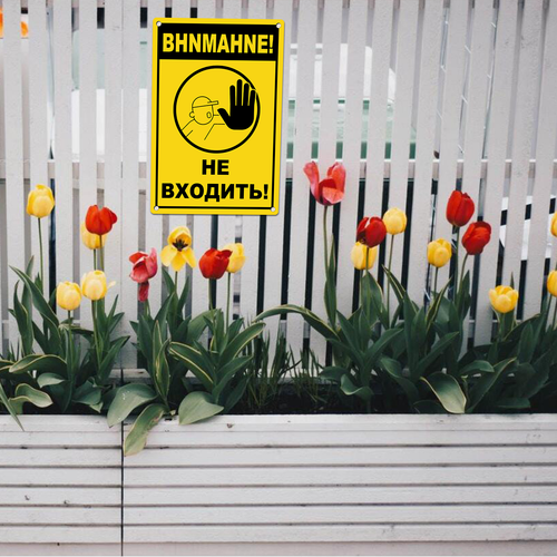 22 LP 0628 09.png