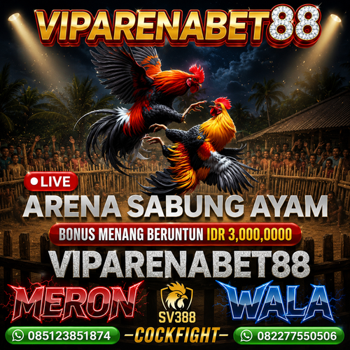VIPARENABET88 | AGEN SABUNG AYAM | TERPERCAYA.png
