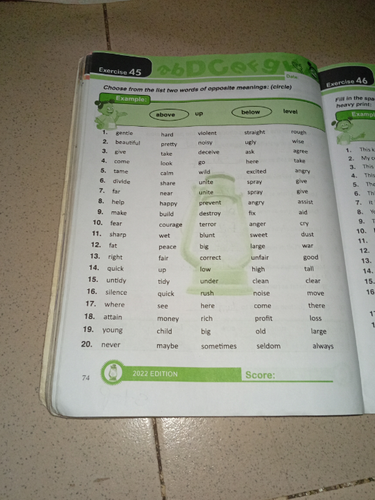 temp.png