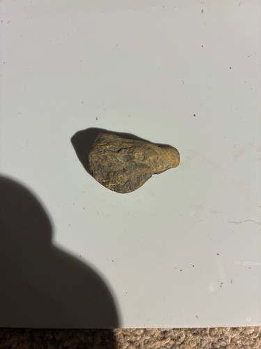 17d2c0e5b879.jpg
