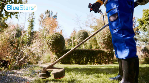 Weed Eater Won’t Start? 6 Common Problems and Fixes.png