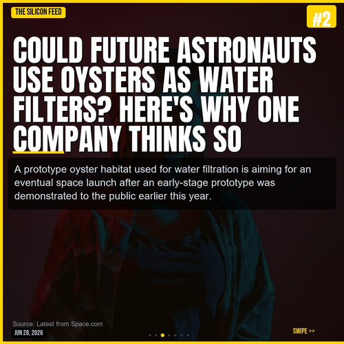 f5077c696539.jpg