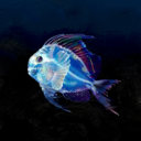 9fcca32093a1.png