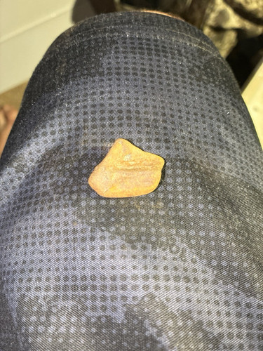 3c3ebdd40eb4.jpg