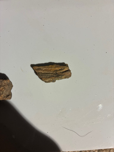 6360b4ab7420.jpg