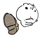 IMG 8512.png