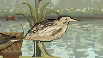 Bird DaMaJian Idle 639182176443876444.png