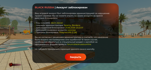 IMG 2853.png
