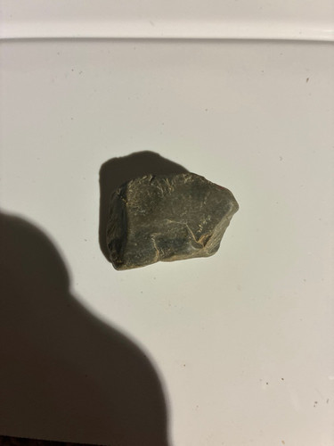 262fa502e5b9.jpg