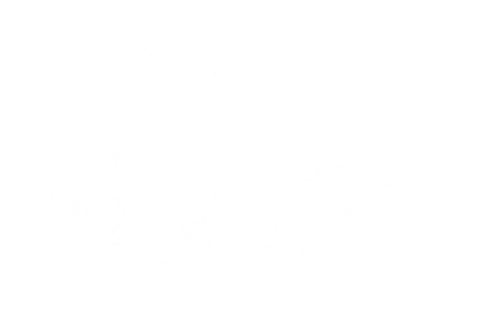63199664ecec.png