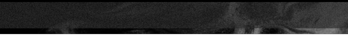 1000058521.png
