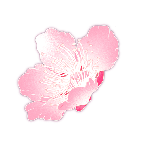 1000058534.png