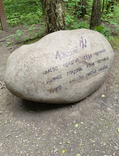 1000020373.jpg