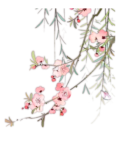 1000058536.png