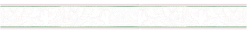 1000058539.png
