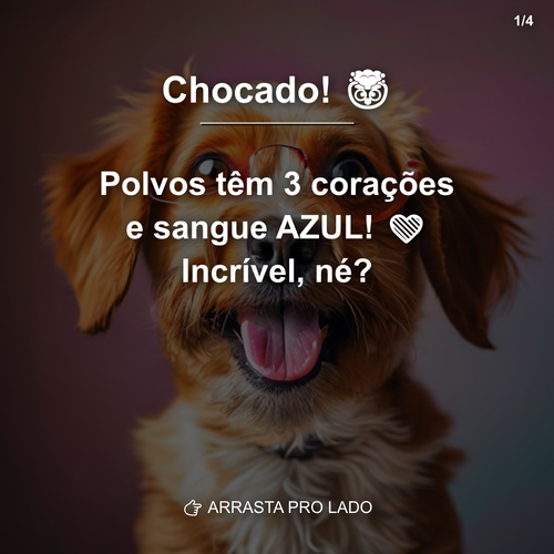 carousel 1782572413069 slide1.png