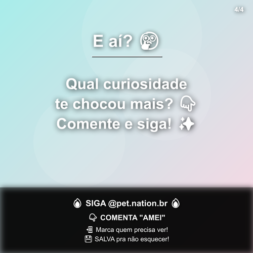 carousel 1782572413781 slide4.png