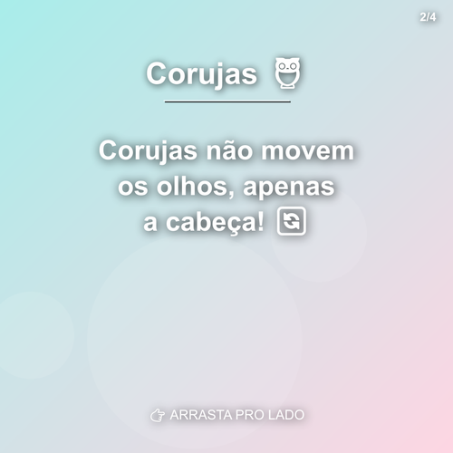 carousel 1782572413463 slide2.png