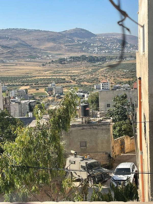 صورة الخبر