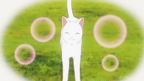 ss 02.png