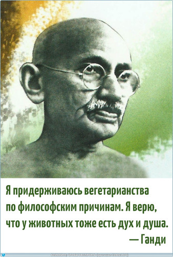 thumb e8e4bf41df2e09cfc488105a15efbfc2.jpg