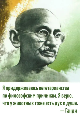 Махатма Ганди 6.webp