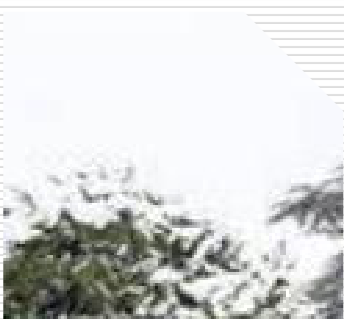 page 0001 crop 06.png