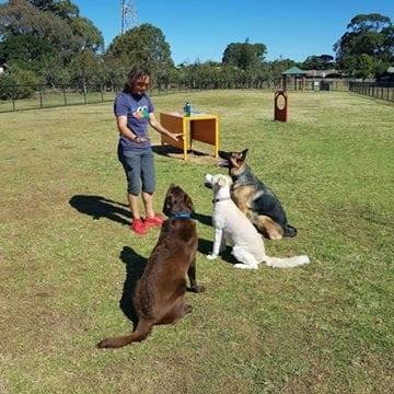 Best Canine Behavioural Therapy in Hucking.jpg