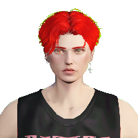 409a245b68d8.png