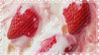 tumblr 3a0ba0e20b333c4b40478153f3417bc8 6b1dabf4 100.png