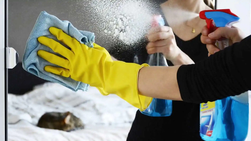 Office Cleaning Liverpool (Chores UK Ltd).png