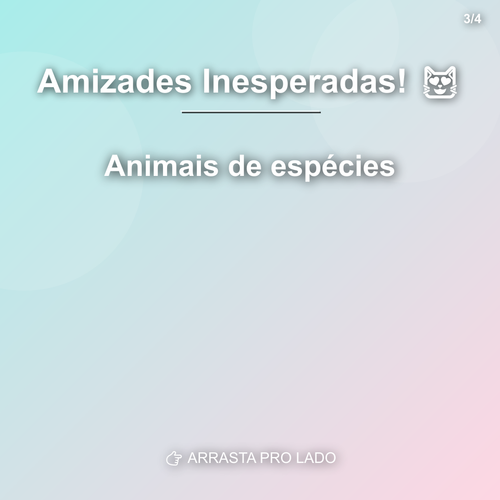 carousel 1782558013934 slide3.png