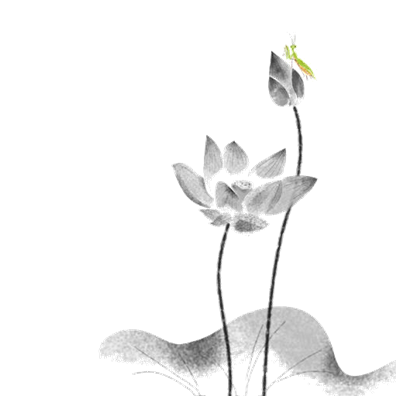 huaban 1085947370.png