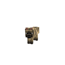 475020346469.png