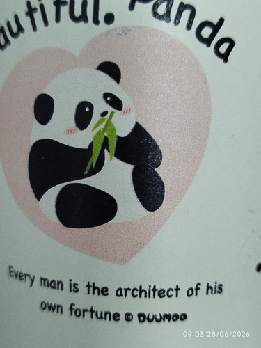 1b622c7d7bef.jpg