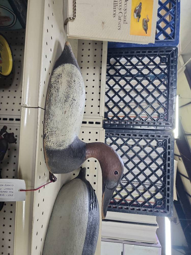 b0e60837f9d1.jpg