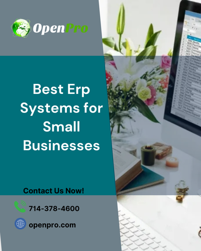 Affordable ERP Systems for Small Businesses.png