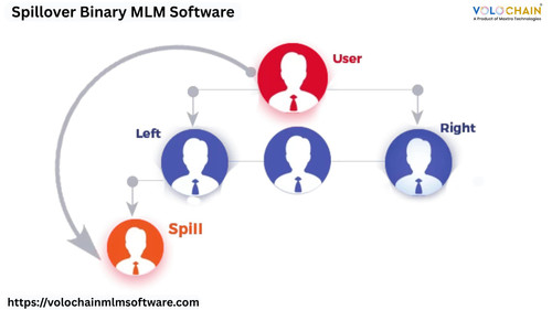 Advanced Spillover Binary MLM Software for Smarter Business Growth.jpg