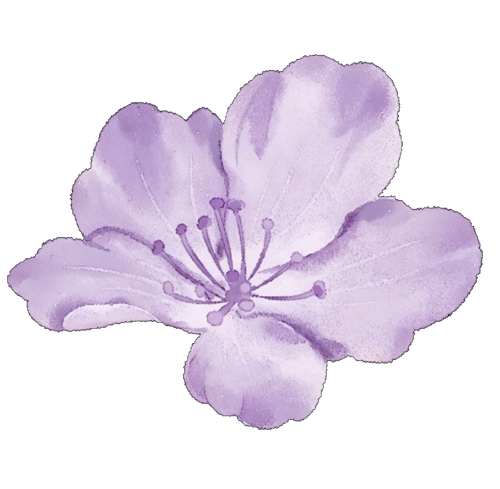 1000075934.png