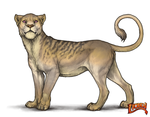 lioden wardrobe (4).png