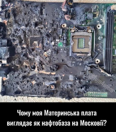 file 335.jpg