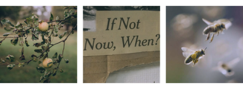 ft6XbJS.png