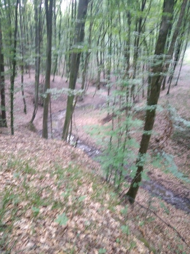 20260607 193319.jpg