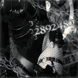 2826 dThR5WN.gif