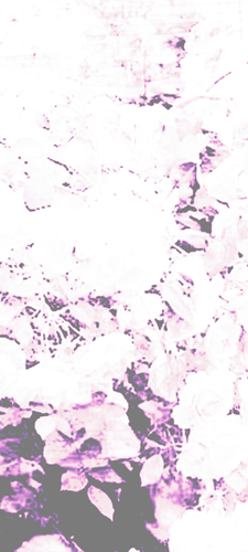 1000010186.png