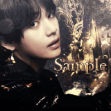 2760 AnfleA0.gif